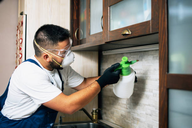 Best Best Pest Control Companies  in Reserve, LA