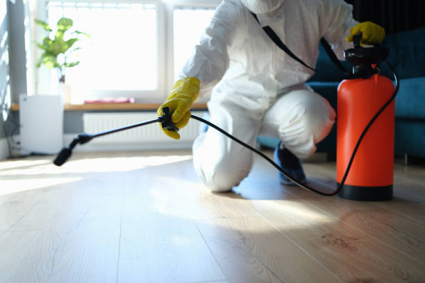 Wasp Removal Services in Reserve, LA