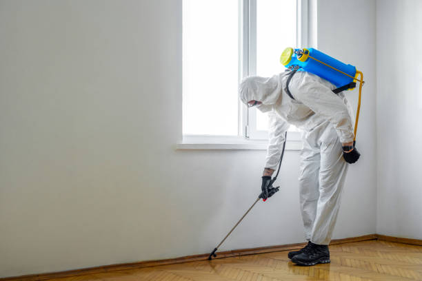 Pest Prevention Services in Reserve, LA
