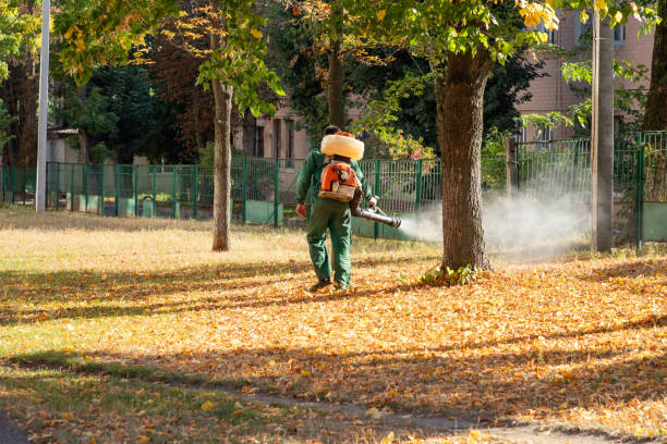 Best Residential Pest Control  in Reserve, LA