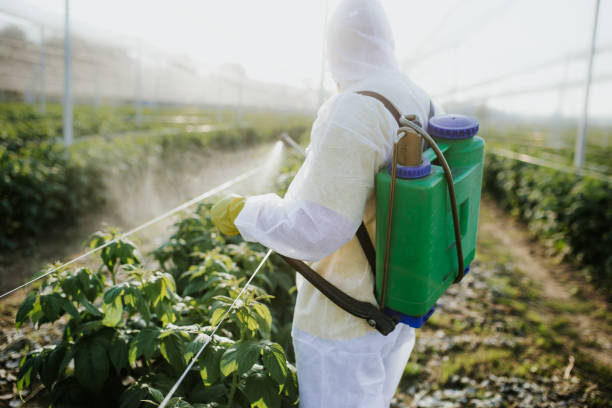 Best Wildlife Control Services  in Reserve, LA